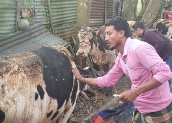 bdnewes bangla