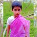 bdnewes bangla