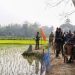 bdnews bangla