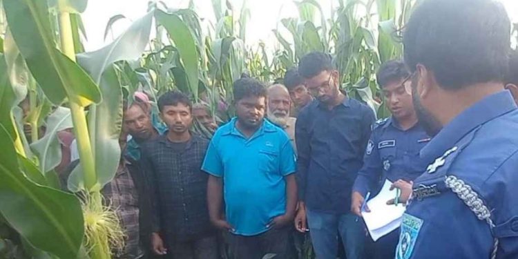 bdnewes bangla