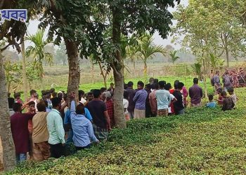 bdnewes bangla