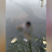 ইফতার শেষে নিখোঁজ, ডিএনডি লেকে ভাসছিল নয়নের মরদেহ