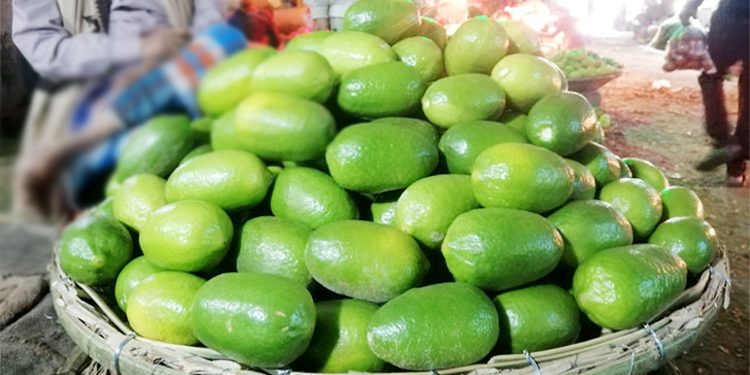 দুই দিনের ব্যবধানে লেবুর হালি ১০০