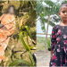 ভুট্টা ক্ষেতে নিখোঁজের পরের দিন ৭ বছরের শিশুর লাশ উদ্ধার
