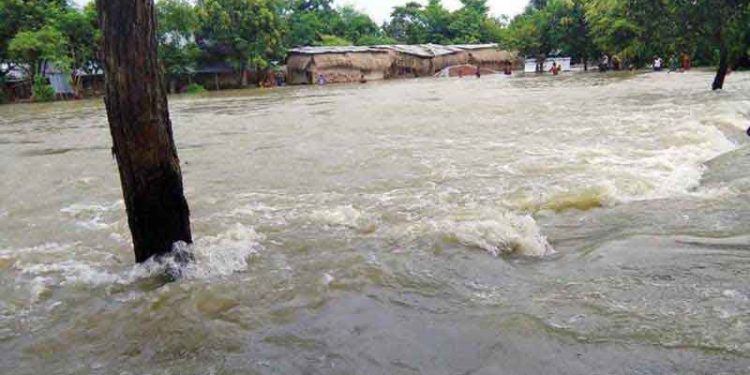 ৩ দিনের মধ্যে যেসব জেলায় বন্যার আভাস