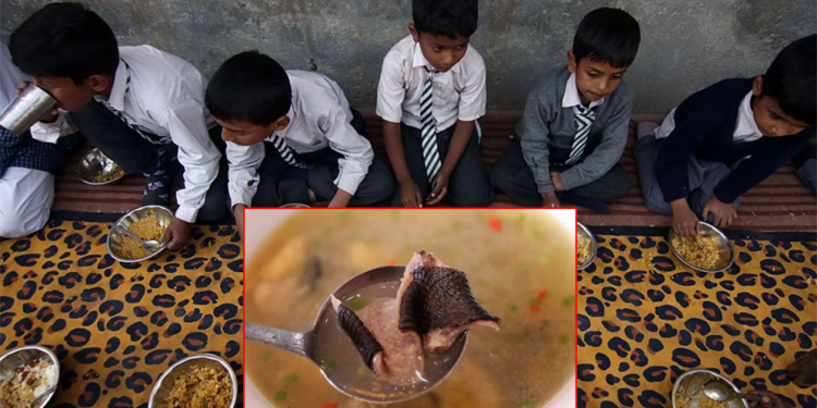 ভারতে স্কুলের খাবারে মরা সাপ, অসুস্থ শতাধিক