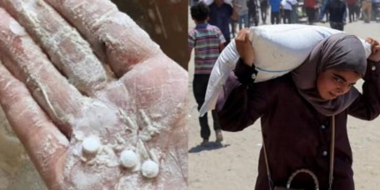 গাজায় ত্রাণের আটায় মিলেছে মাদকজাত ট্যাবলেট
