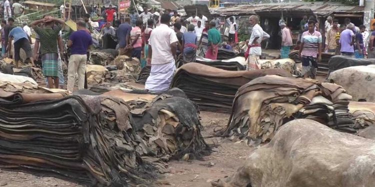 এবারও হতাশ চামড়া ব্যবসায়ীরা, দাম ওঠেনি হাজারও