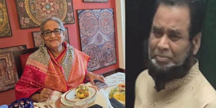 হাসিনাকে রেঁধে খাইয়ে কোটিপতি বাবুর্চি মোশারফ