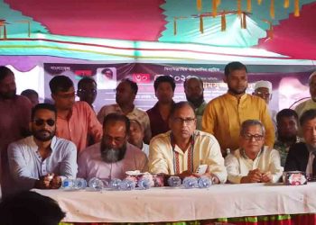 সরকার যেন বিভ্রান্ত না হয় সেজন্য আমরা সমালোচনা করি : দুদু