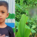 মুক্তিপণ দিয়েও জীবিত পেলেন না পরিবার, ৪ দিন পর মিলল শিশুর লাশ