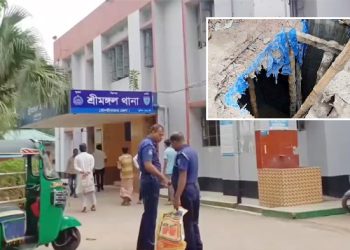 শ্রীমঙ্গলে সেপটিক ট্যাংক থেকে মোবাইল তুলতে গিয়ে ৪ তরুণের মৃত্যু