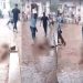 ব্যবসায়ীকে পাথর মেরে হত্যা: যুবদলের ২ নেতা আজীবন বহিষ্কার