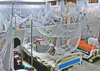 ডেঙ্গুতে ২৪ ঘণ্টায় ৩ জনের মৃত্যু, হাসপাতালে ভর্তি ৪৯২