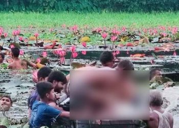 শাপলা তুলতে গিয়ে বিলে ডুবে দুই বন্ধুর মর্মান্তিক মৃত্যু