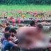 শাপলা তুলতে গিয়ে বিলে ডুবে দুই বন্ধুর মর্মান্তিক মৃত্যু