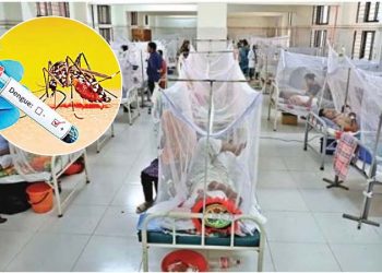ডেঙ্গুতে তিনজনের মৃত্যু, হাসপাতালে ভর্তি ৪৭৩
