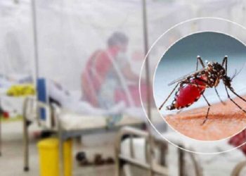 ডেঙ্গুতে ২ জনের মৃত্যু, হাসপাতালে ৬২৫
