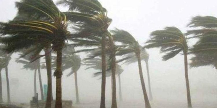 দুপুরের মধ্যে ৭ অঞ্চলে ঝোড়ো হাওয়াসহ বজ্রবৃষ্টির আভাস
