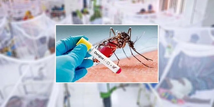 ডেঙ্গুতে আরও ২ জনের মৃত্যু, হাসপাতালে ভর্তি ৪৪৫