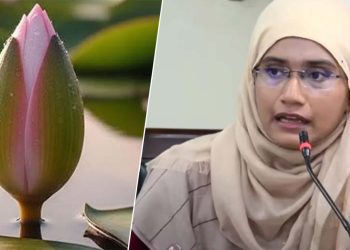 ‘শাপলা কলি’ যুক্ত মূলত এনসিপিকে বাচ্চা হিসেবে দেখানোর চেষ্টা
