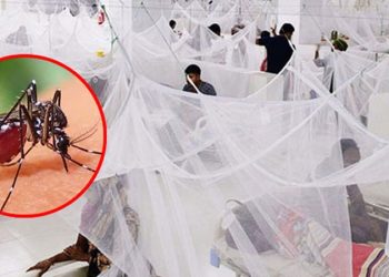 ডেঙ্গুতে আরও ৫ জনের মৃত্যু