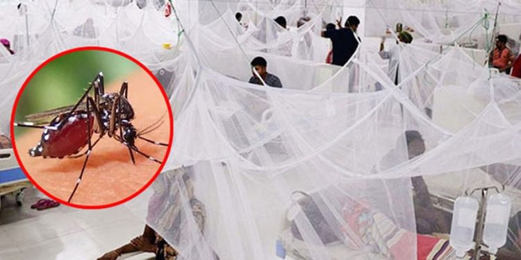 ডেঙ্গুতে আরও ৫ জনের মৃত্যু