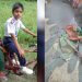 ভাইয়ের সঙ্গে বাইসাইকেলে স্কুলে যাচ্ছিল আরাফাত, ট্রাকচাপায় মৃত্যু