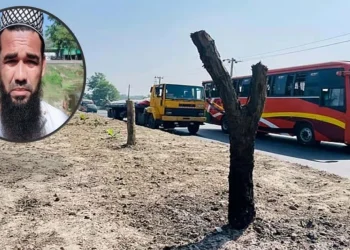 ‘আবর্জনার মতো লাগে’ বলে অর্ধশত বকুলগাছ কাটা সেই ব্যক্তি গ্রেপ্তার