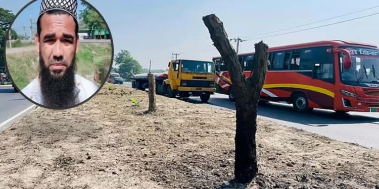 ‘আবর্জনার মতো লাগে’ বলে অর্ধশত বকুলগাছ কাটা সেই ব্যক্তি গ্রেপ্তার