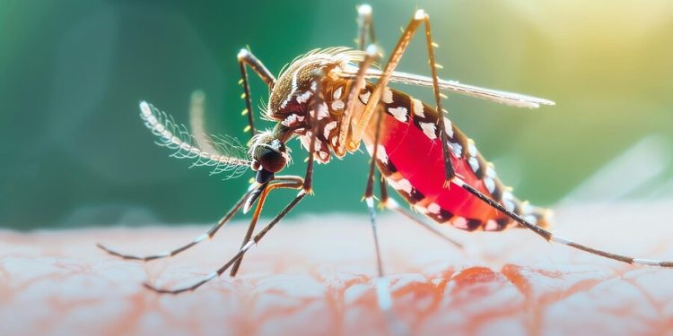 ডেঙ্গু কেড়ে নিল আরো ৪ প্রাণ