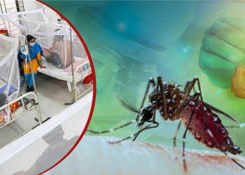 ডেঙ্গুতে আরও ৫ জনের মৃত্যু, হাসপাতালে ভর্তি ৬৩৬