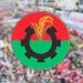 দল থেকে সুখবর পেলেন বরিশাল বিএনপির ১০ নেতা!