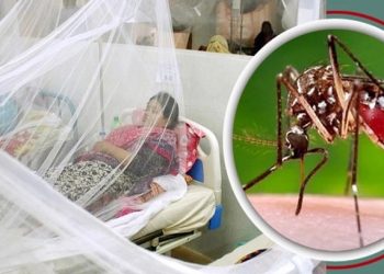 ডেঙ্গুতে একদিনে ১০ জনের মৃত্যু, হাসপাতালে ভর্তি ১০৬৯
