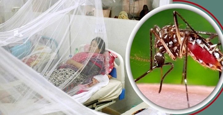 ডেঙ্গুতে একদিনে ১০ জনের মৃত্যু, হাসপাতালে ভর্তি ১০৬৯