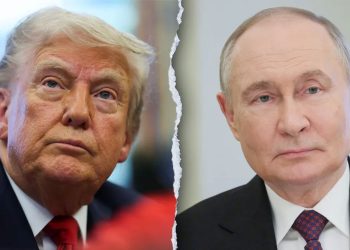 trump and putin