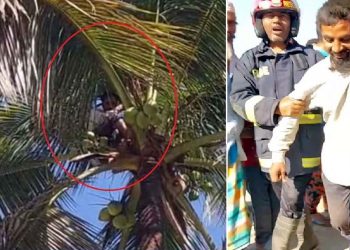 ডাব খেয়ে গাছের ওপরেই ঘুম, উদ্ধার করলো ফায়ার সার্ভিস