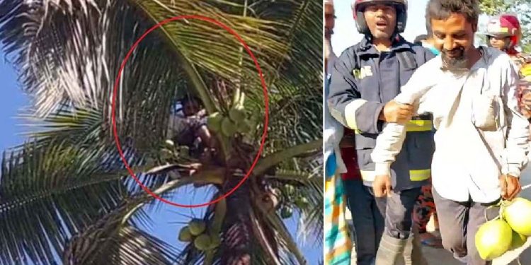 ডাব খেয়ে গাছের ওপরেই ঘুম, উদ্ধার করলো ফায়ার সার্ভিস
