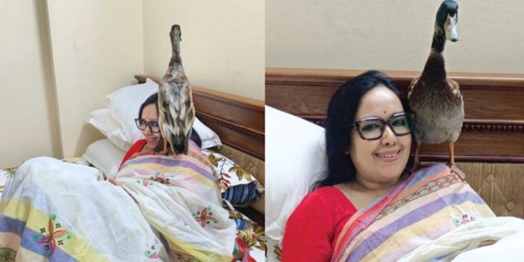 আমার হাঁস আমার চাষ করা ধানই খাইব : রুমিন ফারহানা