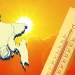 ২০৫০ সালের মধ্যে বিশ্বের চরম উষ্ণ ৬ দেশের একটি হবে বাংলাদেশ