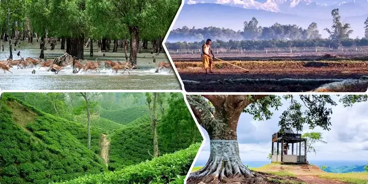শীতকালে বাংলাদেশের ভ্রমণের জন্য ৫ সেরা জায়গা