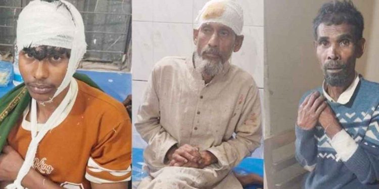 বিএনপির ৫ নেতাকর্মীকে বেধড়ক পেটাল আ.লীগ নেতারা