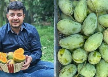 ভুয়া অর্ডার দিয়ে বেশি হয়রানি করেছে জামায়াতের ভাইয়েরা: তারেক রহমান