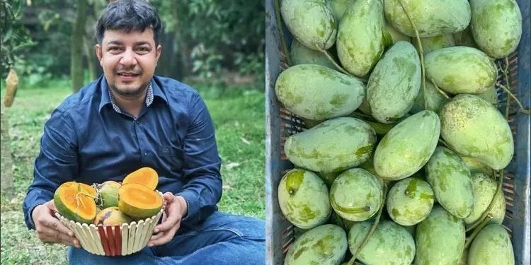 ভুয়া অর্ডার দিয়ে বেশি হয়রানি করেছে জামায়াতের ভাইয়েরা: তারেক রহমান