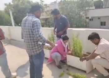 বাড়ির ছাদে গাঁজা চাষ, গ্রেপ্তার সফটওয়্যার ইঞ্জিনিয়ার