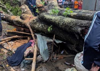 কালবৈশাখী ঝড়ে দোকানে উপড়ে পড়ল বিশাল গাছ, প্রাণ গেল ঘুমন্ত ব্যবসায়ীর