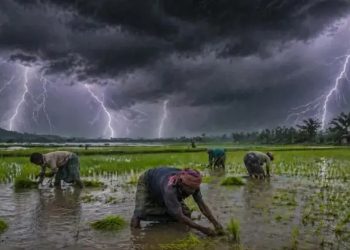 পটুয়াখালীতে এক দিনে বজ্রপাতে প্রাণ গেল ৪ জনের, অর্ধশতাধিক গরুর মৃত্যু