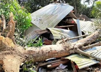 কালবৈশাখী ঝড়ে গাছচাপায় ঘুমন্ত মা ও দুই মেয়ের মৃত্যু