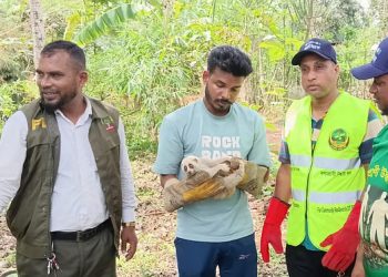 খাগড়াছড়িতে জখম অবস্থায় বিপন্ন লজ্জাবতী বানর উদ্ধার