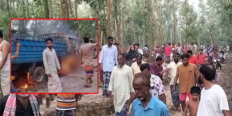 গাজীপুরে গরু চুরির অভিযোগে তিনজনকে পিটিয়ে হত্যা, পিকআপে আগুন